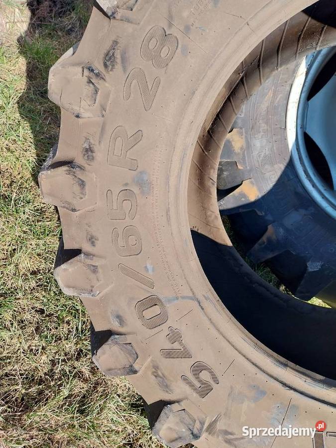 opona Pirelli TM800 54065R28 Borek