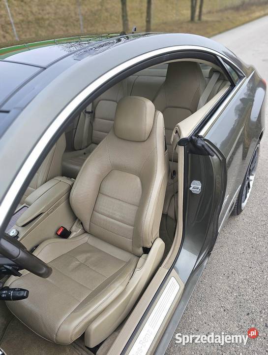 55L V8 M273 LPG Panorama HarmanKardon Distronic 300km Piotrków Trybunalski