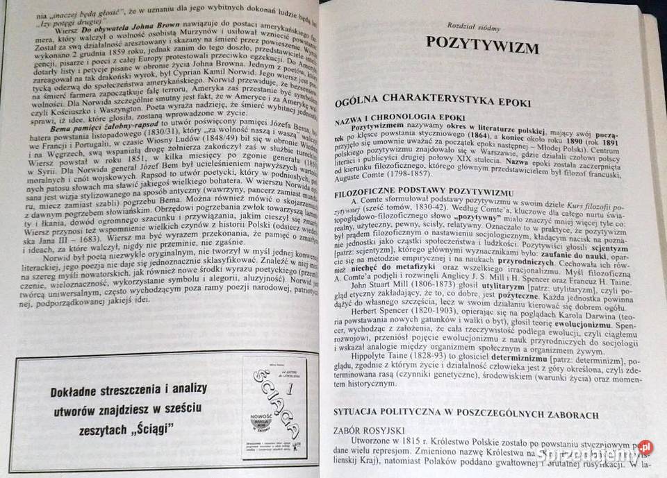 Repetytorium z języka polskiego Wszystkie epoki lubelskie Chełm sprzedam