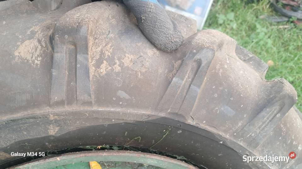 Części dzik Kęty