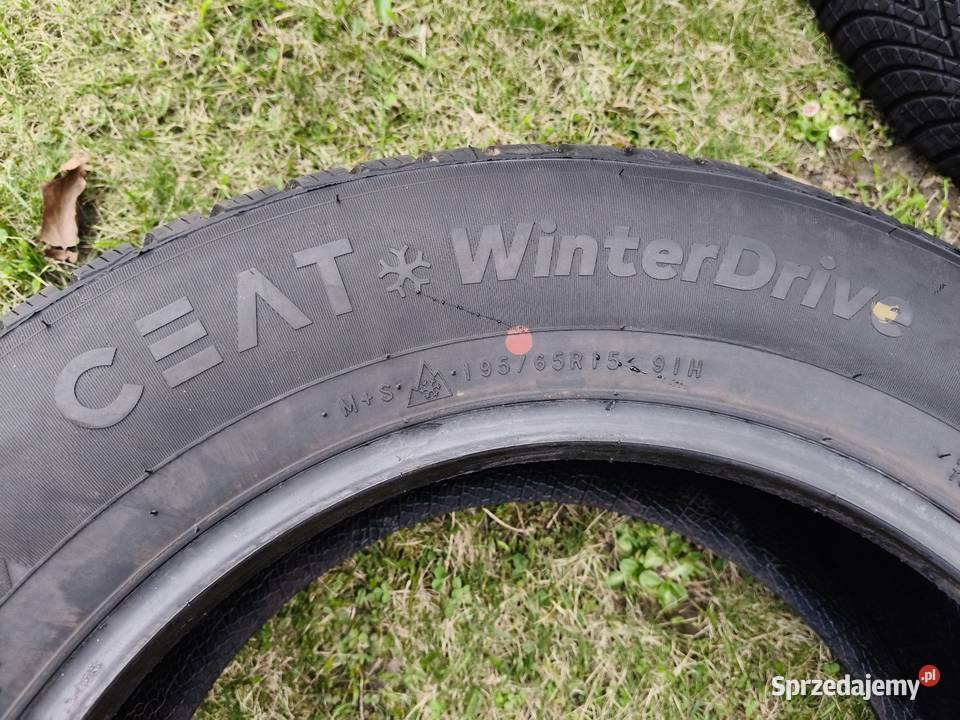 19565 R15 Ceat WinterDrive 2025r Binkowo