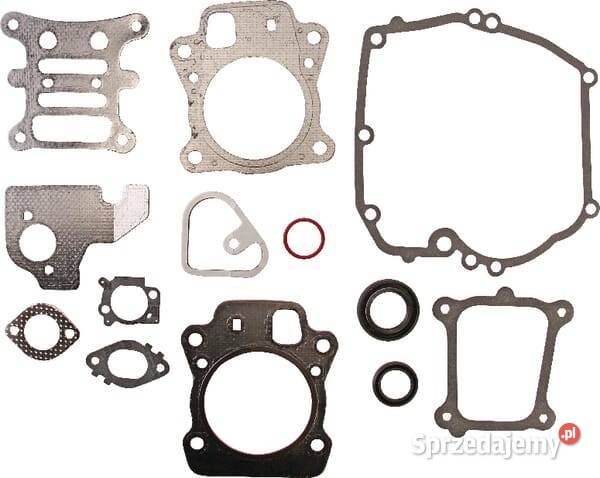 Zestaw uszczelek silnika 592173 Części i akcesoria Kamionna sprzedam