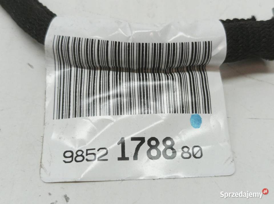 KAMERA COFANIA 9852178880 Peugeot 2008 II 2019 Części samochodowe