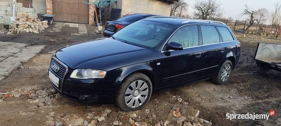 Audi A4 19 TDI 2004r Rogowo