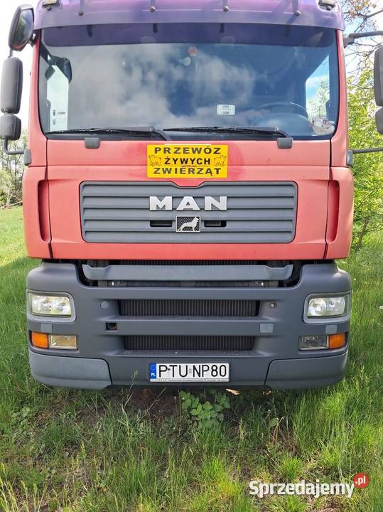 MAN TGA 26360 6x22bl przystosowany do przewozu Poznań