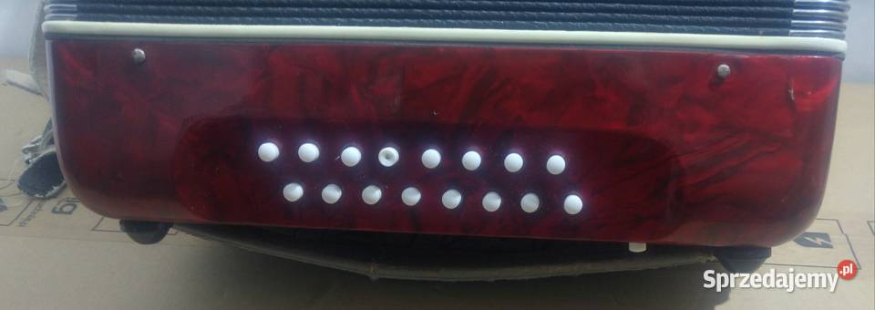 Akordeon STELLA lubuskie