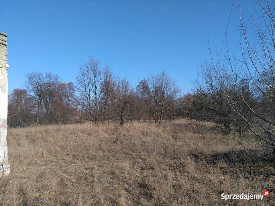 Działka Żyrardów Akacjowa 10 3260m2