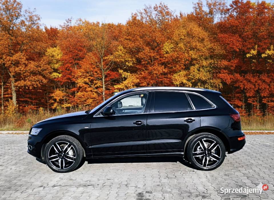 Audi Q5 30 TFSI 2013r S Line czujnik martwego pola Q5 Radomsko sprzedam