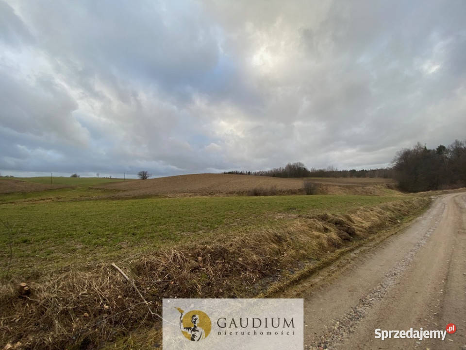 Działka w Pomieczyńskiej Hucie Pomieczyńska Huta