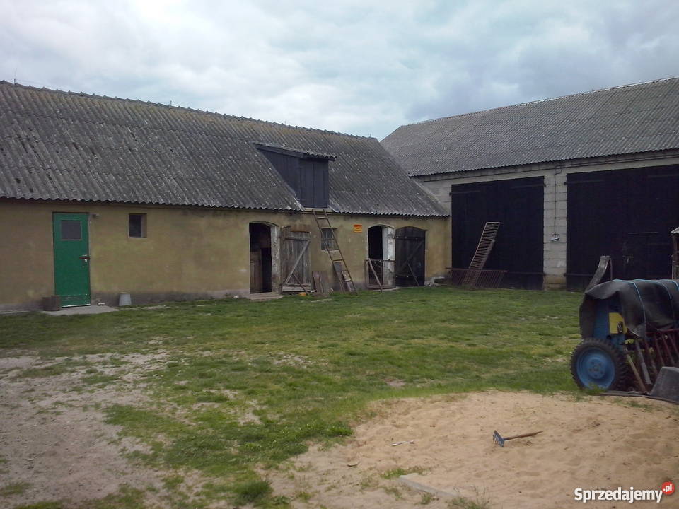 Gospodarstwo rolne prąd Ościsłowo sprzedam