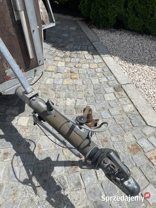 Przyczepa do przewozu koni i zwierząt Bckmann 2 Limanowa