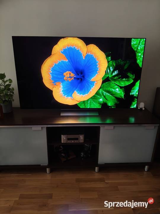 LG OLED 65 C3 na gwarancji Telewizory Kraków