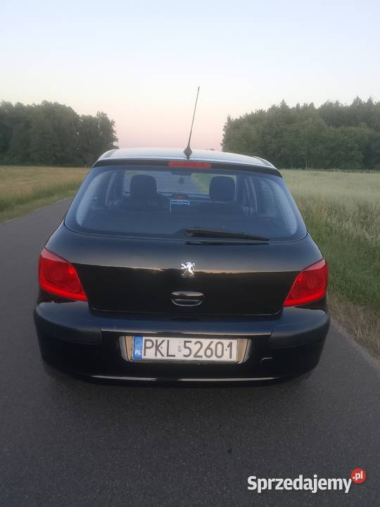 Peugeot 307 16 HDi Turek