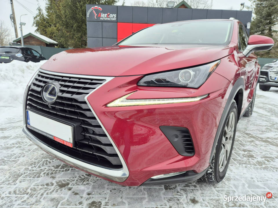 Lexus NX Bezwypadkowy I 20142021 Konstancin-Jeziorna sprzedam