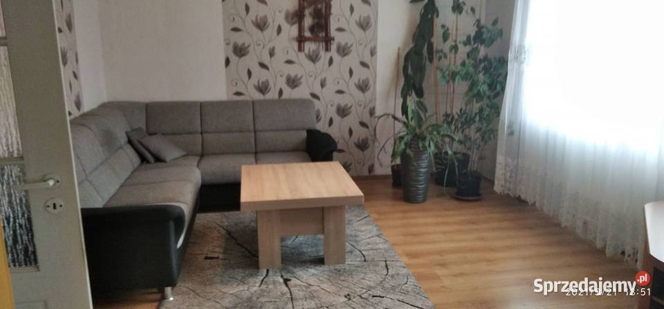 Dom253 15m2 9pokoi 3kuchnie 2łazienki 5WC mieszkalny Sprzedaż lubuskie Sulechów