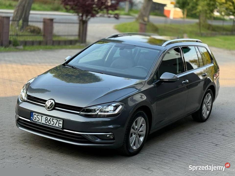 Volkswagen Golf VII 16 TDi 116 2019r Skarszewy