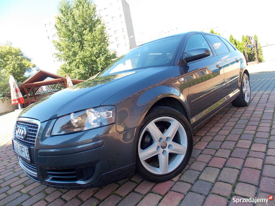 Audi A3 8p Sportback Stan Bdb 16mpi Instalacja Gazowa Zawiercie