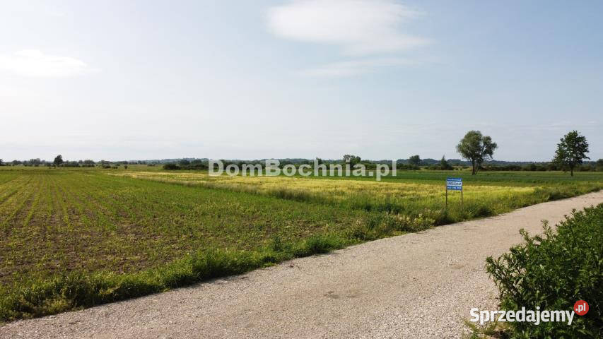 Działka Strzelce Wielkie 3188m2