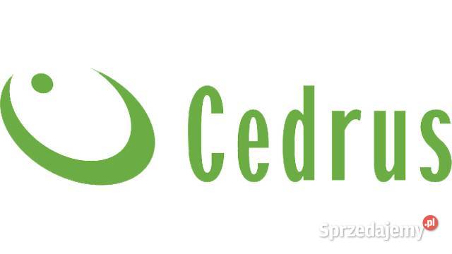 Cedrus RB03 ROZDRABNIACZ SPALINOWY REBAK DO wielkopolskie Opalenica