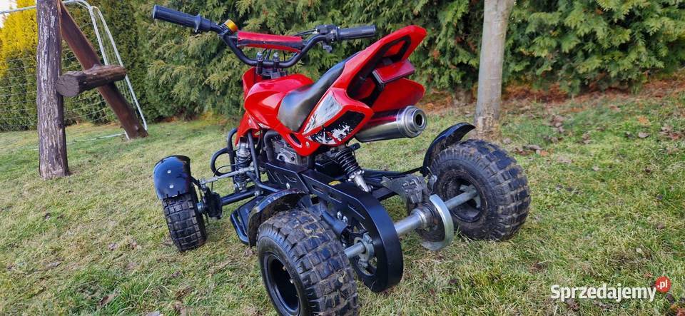 Quad 50 dzieci