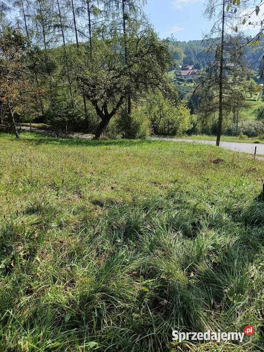 Działka budowlana Janowice powiat tarnowski gm budowlana
