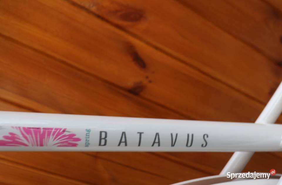 Rower damski Batavus Mambo D 61 RATY I inne sprzedam