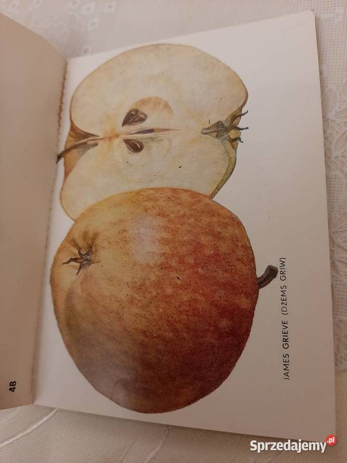 Atlas jabłek 1979 r Stronie Śląskie