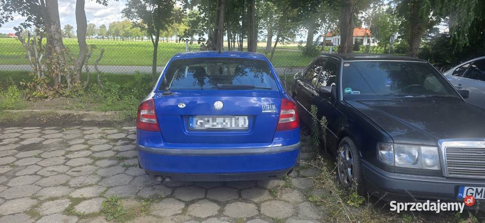 Skoda Octavia 2008 diesel Tralewo