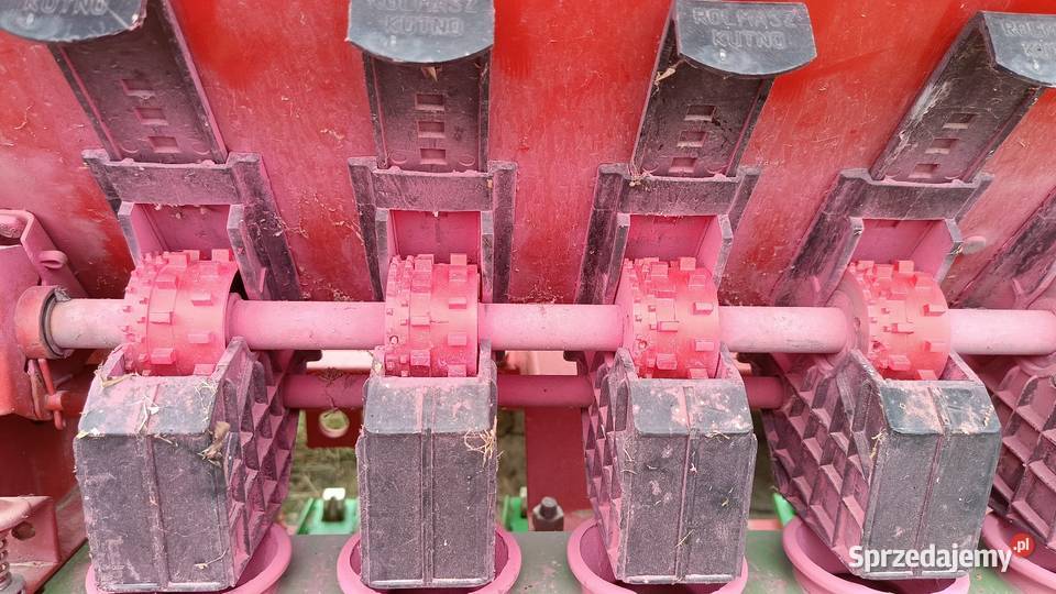 Siewnik poznaniak Rozdrażew