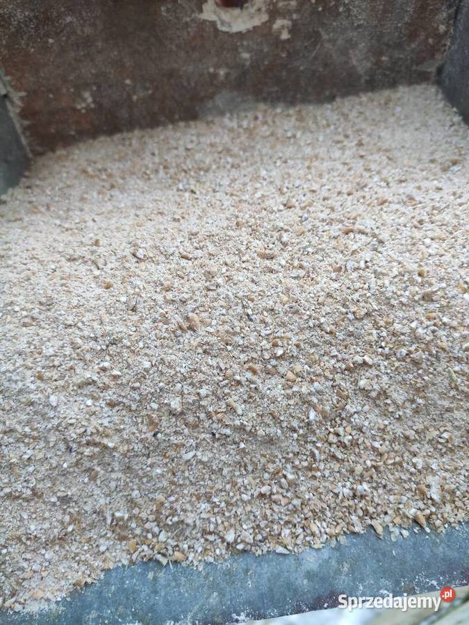 Srutownik bijakowy młynek go zboża chodowców mazowieckie Iłża sprzedam