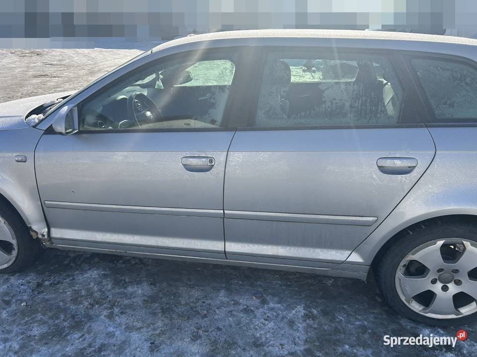 Drzwi przednie tylne prawe lewe Audi A3 8P Bodzentyn