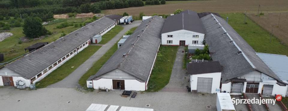 Syndyk sprzeda budynki urządzenia prawo lubuskie Gubin