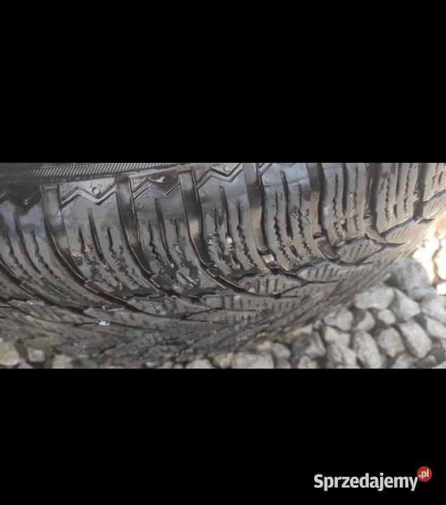 Opony zimowe 19 23555 nokian Samochodowe