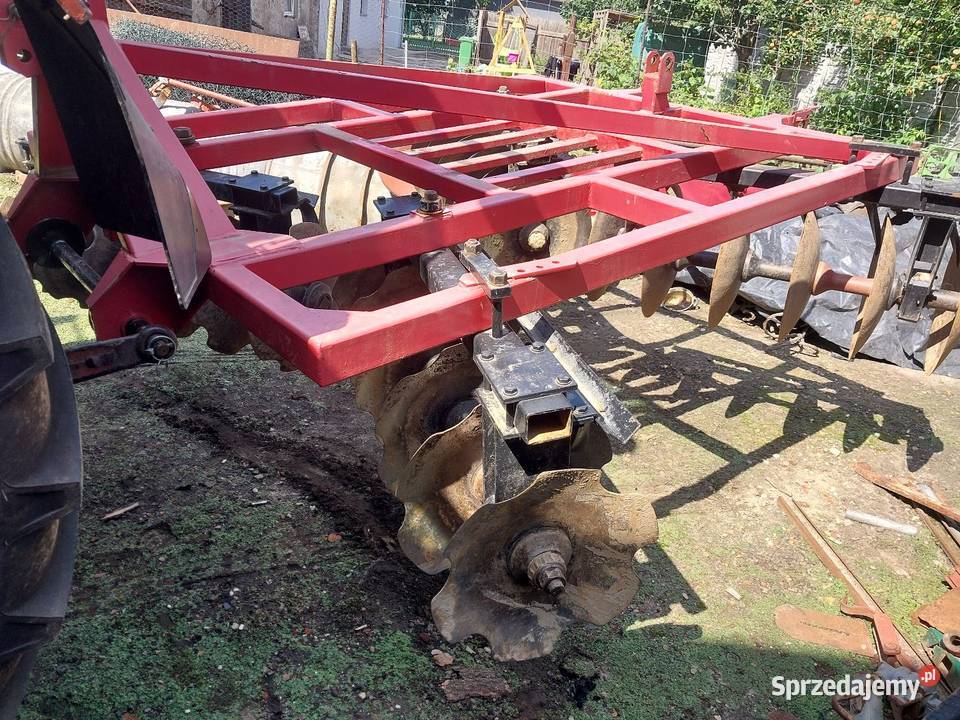 Brona talerzowa Brony Brzeg