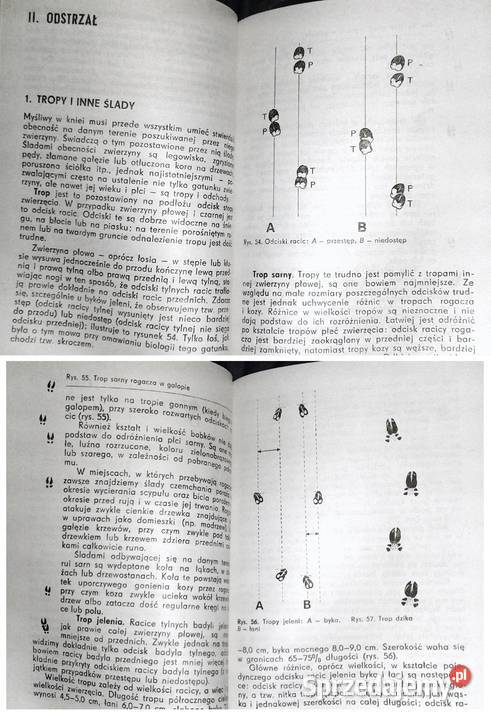 Podręcznik selekcjonera zwierzyny Tadeusz Chełm