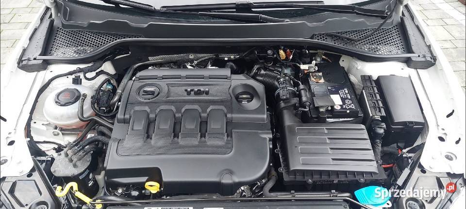 Seat Leon Xcellence 16 TDI Leon Bochnia