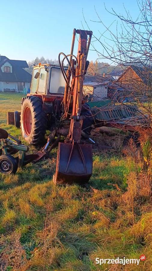 Białoruś budowlana Skierniewice