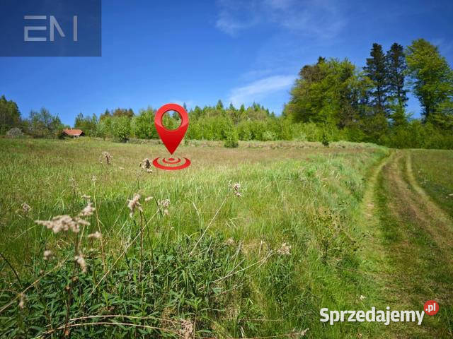 sprzedaży gruntu Lutcza 7000m2