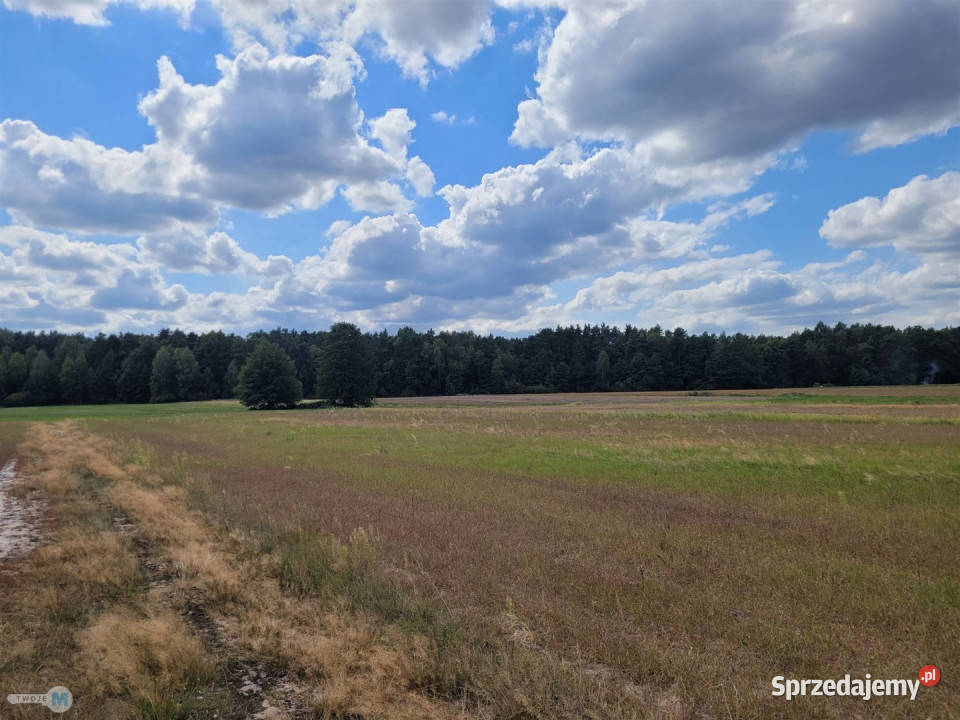 Działka 8000m2 Kluczewsko woda świętokrzyskie
