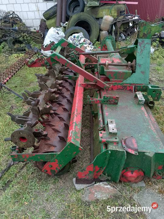 Glebogryzarki podkarpackie Laszki