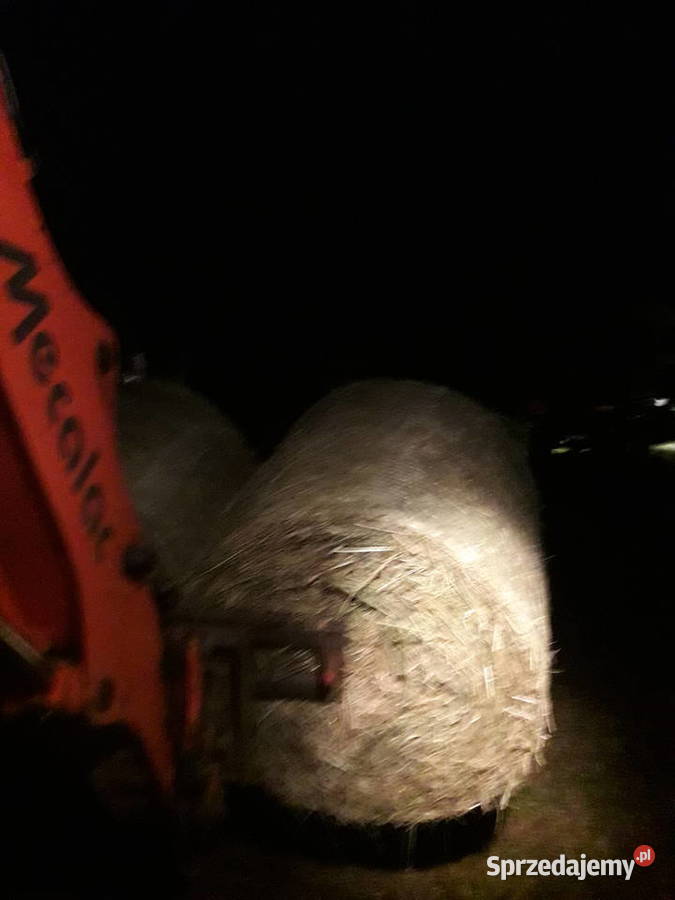 Siano w beli Kraków