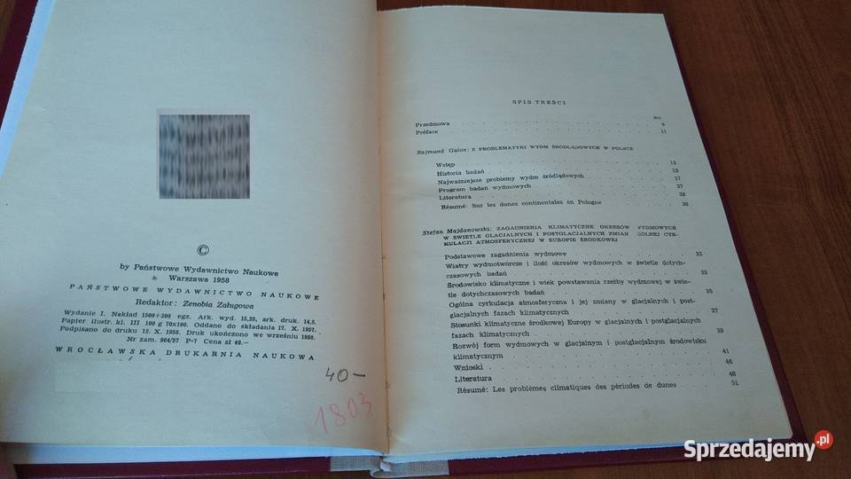 Wydmy śródlądowe Polski studium zbiorowe Cz 1