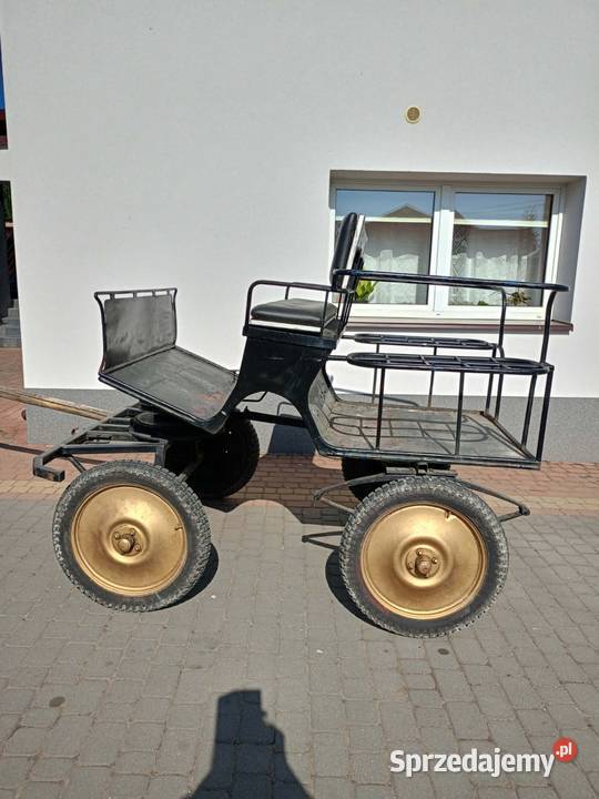 Brydzka konna Lipce Reymontowskie