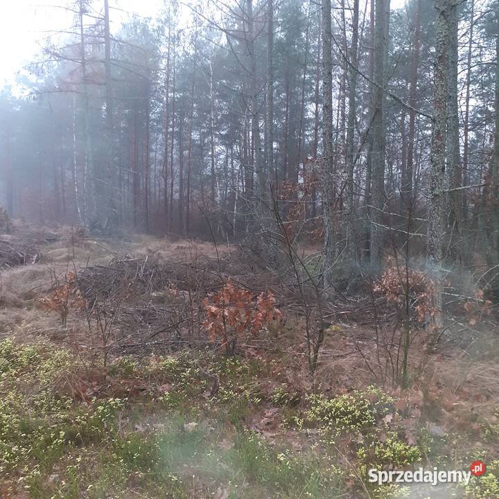 Działka leśna rekreacyjna pomorskie Sierakowice