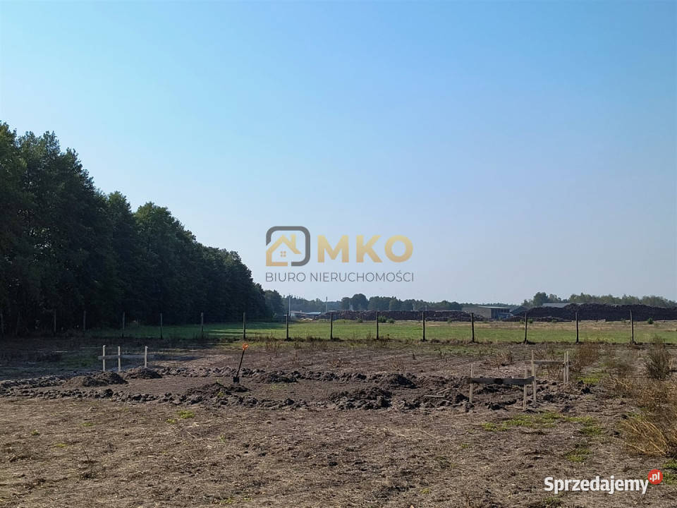 Sprzedaż gruntu 3375m2 Ładne 3375m2 kujawsko-pomorskie sprzedam