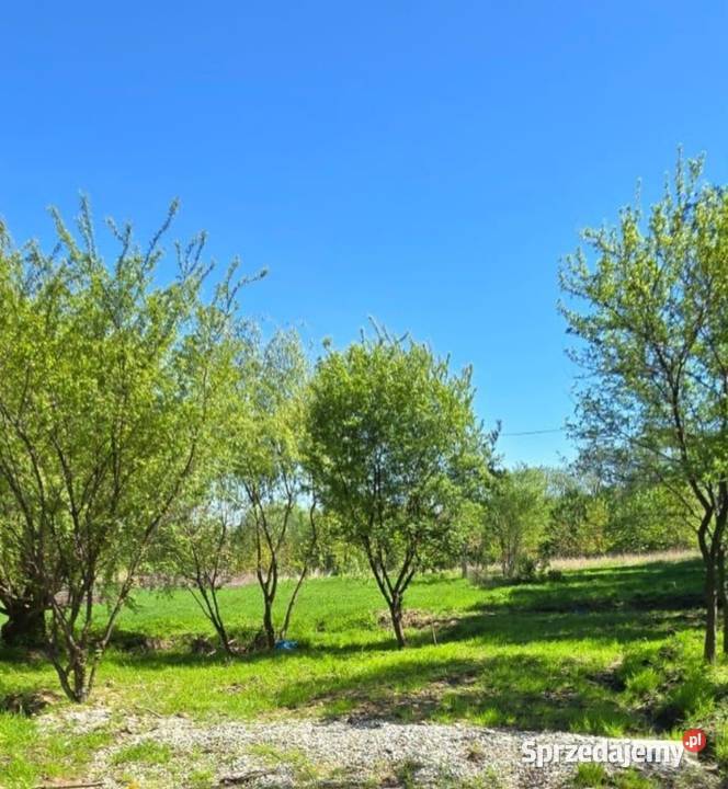 Działka Czaniec śląskie