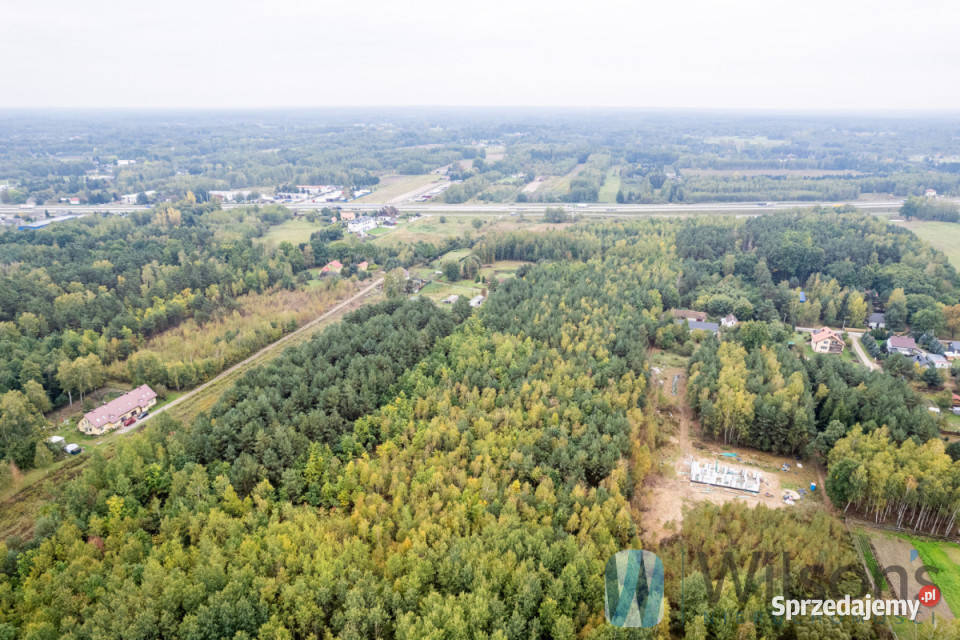 Ogłoszenie grunt Nowa Bukówka 133548m2 szambo Sprzedaż mazowieckie