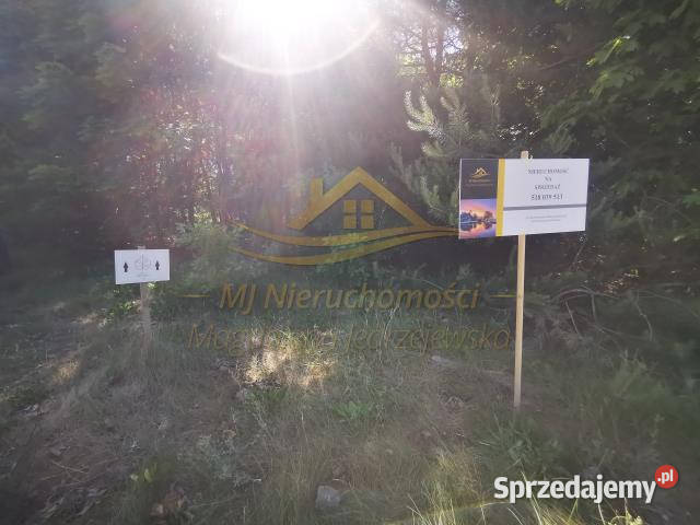 Ogłoszenie działka 35684m2 Lasek św Anny Sprzedaż Grunty i działki