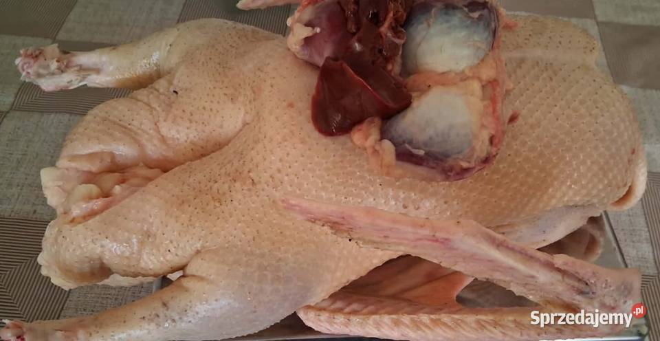 Sprzedam tuszkę gęsi Sulejów