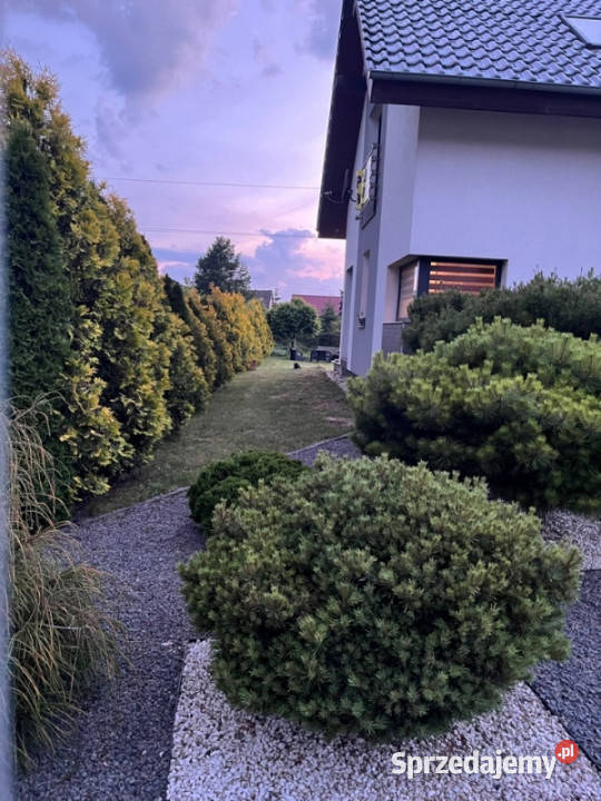 Dom na sprzedaż Stary Żagań 115 m 1000m2 lubuskie
